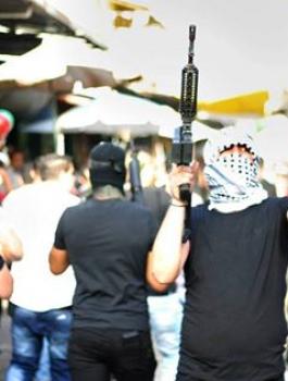 12495056_1139681972775369_2470037014805715485_n