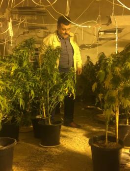 ضبط مشتل كبير لزراعة المخدرات غرب رام الله 