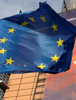 الاتحاد الاوروبي والضم 