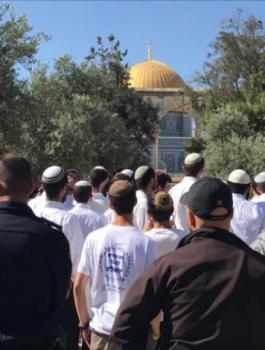 15d5af9300ee6d_FHEOPLGIKMNQJ