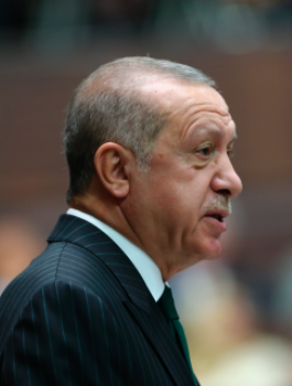 اردوغان والمحكمة الاوروبية 