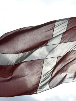 الدنمارك والفلسطينيين 