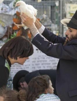 اعداد اليهود في العالم  