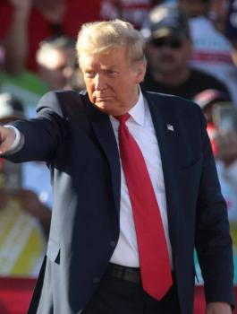 ترامب والانتخابات الامريكية 