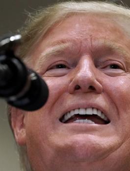 ترامب وهوواي 