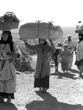 ذكرى تقسم فلسطين 