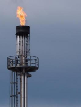 الغاز المصري والاردن 