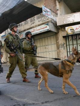 اقتحامات واعتقالات في جنين 