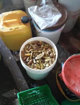 اتلاف طن من المخللات في نابلس 