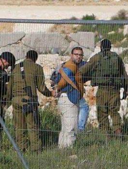 10406936_913001208813588_6931283659261204578_n