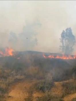 حرائق في حقول المستوطنين بغزة 