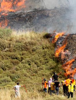 مستوطنون يحرقون اراضي في نابلس 