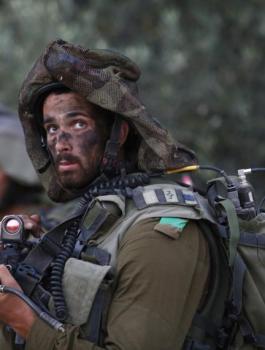 اعتقل أكثر من 500 مواطن