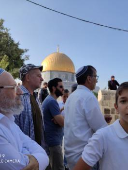 اقتحامات واسعة للمسجد الأقصى  