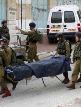 05118415192368135234223284410275