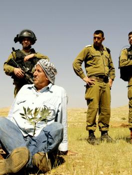 مصادرة 51 الف دونم من الاغوار الشمالية 