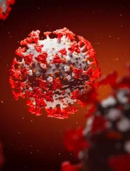 سلالة ضد فيروس كورونا 