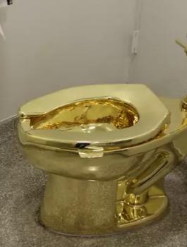 لصوص يسرقون مرحاض  ذهبي 