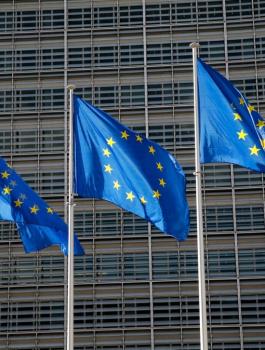 الاتحاد الاوروبي وحل الدولتين