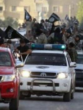 5614d333c46188d04d8b45b5