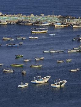 الجيش الاسرائيلي والصيادين في غزة 