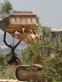 تجريف اراضي في جالود 