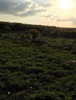 حالة الطقس