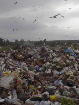 تشكيل لجنة لاعادة ترتيب عمل مكب زهرة الفنجان 