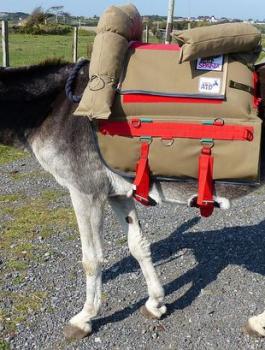 Inflatable-seatbeats-for-donkeys-by-SaddleAid-1