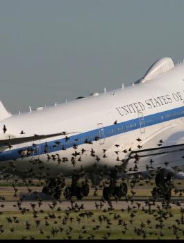 "البنتاغون" يطور طائرة "يوم القيامة" الخاصة بترامب في حال اندلاع حرب نووية