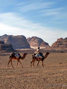 المسلحين في سيناء 