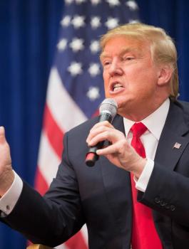 ترامب والولايات المتحدة 