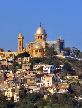 الجزائر والدراسة وفلسطين 