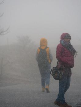 حالة الطقس في فلسطين 