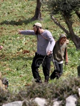 مستوطنون يسرقون أشجار زيتون جنوب نابلس 