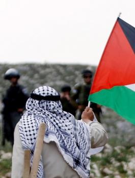 فلسطين_13