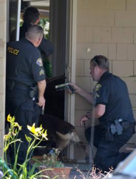 سرقة منزل والشرطة 