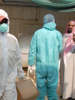 السعودية وانفلونزا الطيور 