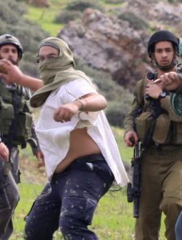 مستوطنون يعربدون غرب جنين 