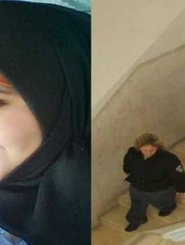 منار شوبكي 