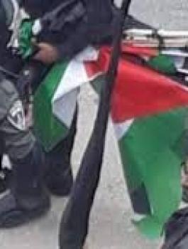 تنزيل