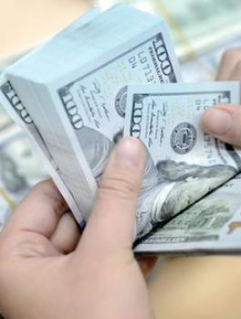 سعر الدولار اليوم 