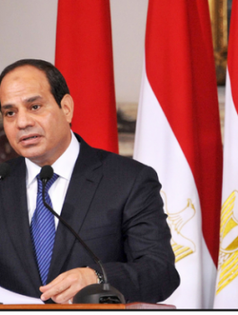 LI-03-Sisi-v2-620x412