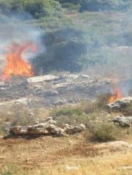 08147740301226780884718772478046