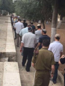 جانب من اقتحامات المستوطنين