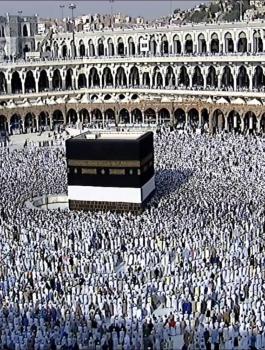 اسماء حجاج قطاع غزة المقبولين 