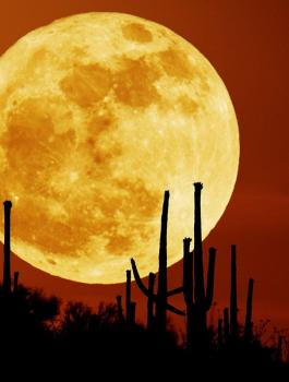 القمر السوبر 