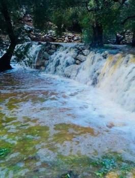 نسبة الامطار التي هطلت على المدن الفلسطينية 