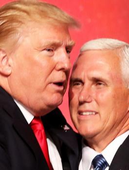 بنس وترامب 