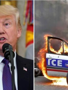 ترامب والاحتجاجات في فرنسا 